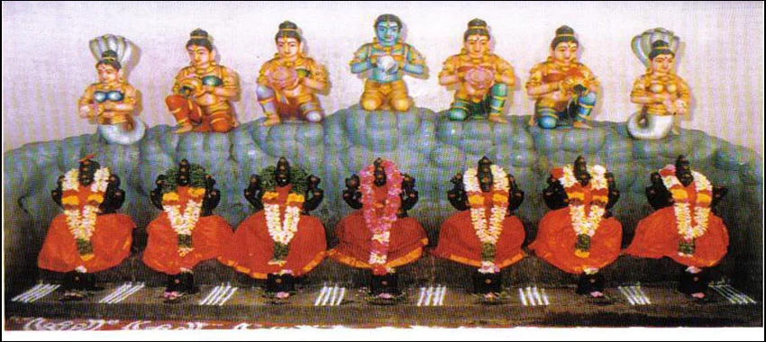 Slide 5